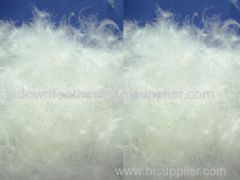 Good quality 70% white duck down and feather