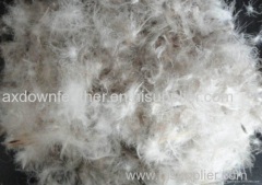 Wholesale 70% grey duck down and feather