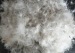 Wholesale 70% grey duck down and feather