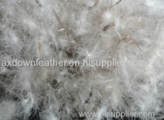 Wholesale 70% grey duck down and feather