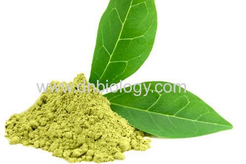 Green tea extract China green tea extract Tea Polyphenols≥25%,≥98%