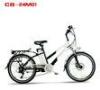 Fast Folding Mountain Electric Vehicle / City Electric Bike 24 Inch EN15194 Approved