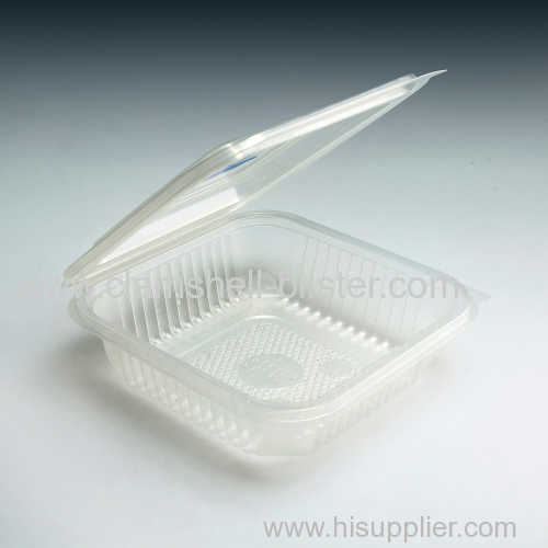 Plastic hinged food box with lid