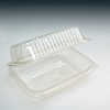 Rectangle disposable plastic hinged food or fruit container