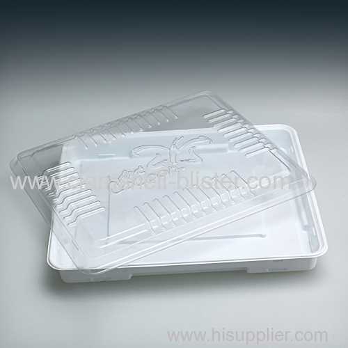 Plastic food blister container with lid