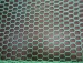 PVC coated hexagonal wire netting PVC coated chicken wire mesh