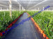 8m x 50mts greenhouse shading netting 90% shade value