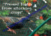 ANTI BIRD POND NET NETTING PROTECTION PLANTS VEG CROPS FRUIT GARDEN FINE MESH