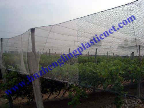 Commercial Knitted Anti Bird Netting 10 Metre Wide x 100 Metre Long White