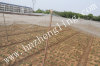 Mesh Anti Bird Mist Net Prevent Agricultural Orchard Protect Bird Damage