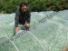 Insect Mesh Net for blocking whiteflies, aphids, leafminers and other tiny insects