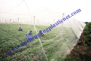 Insect Mesh Net for blocking whiteflies, aphids, leafminers and other tiny insects