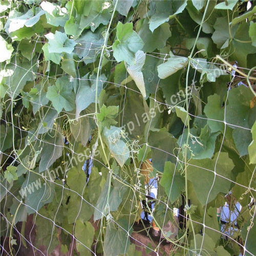 vegetable nets cucumber net loofah net beans net for climbing plants