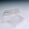 Transparent plastic food container with lid