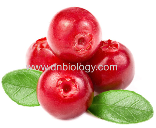 Cranberry extract Proanthocyanidins5%, 15%, 30%Anthocyanins5%, 10%, 25% China cranberry extract