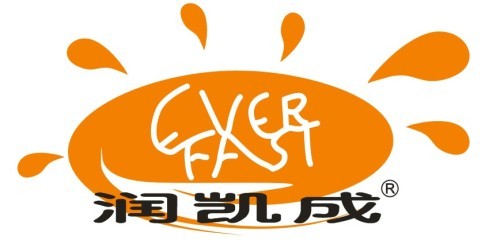 Shenzhen Everfast Enterprises Technology Limited