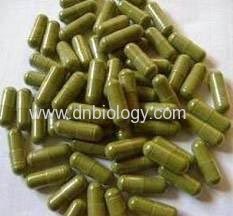 Moringa oleifera Leaf Extract 10:1, Flavones 5%Moringa Leaf Extract