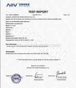 Test Report