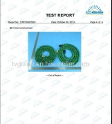 Test Report