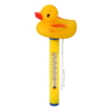 Swimming pool thermometer