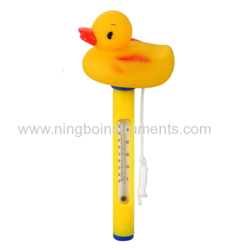 Duck swimming pool thermometer