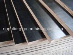 Hot sale Exported to Russia factory for sale two times hot press WBP plywood