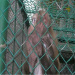 chain link fence for sale