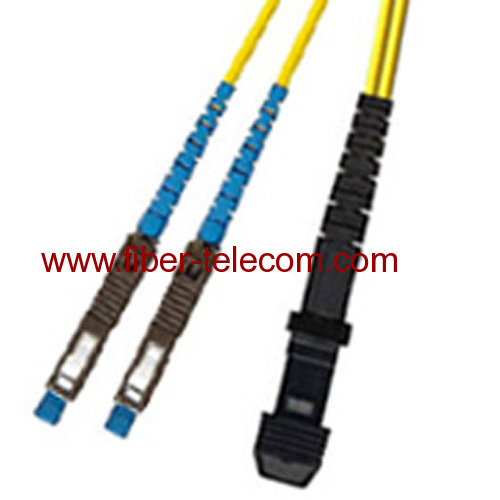 SM Patch Lead with MU to MTRJ Connector