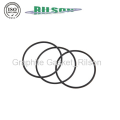 EN DIN Standard SS316 Reinforced Graphite Gasket