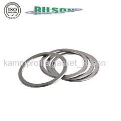 ASME B16.20 Spiral Wound Gasket Ring with Outer and Inner Ring (RS-CGI)