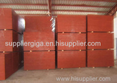 factory for sale 3*6 black/brown wholesale two times hot press Melamine poplar core plywood