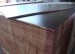 China supplier 15mm/18mm black/brown polyester overlaid waterproof plywood
