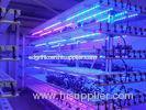 Greenhouse T5 LED fluorescent plant grow lights for lettuce , cabbage