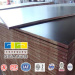 best quality and lowest price 12mm black film faced plywood supplier