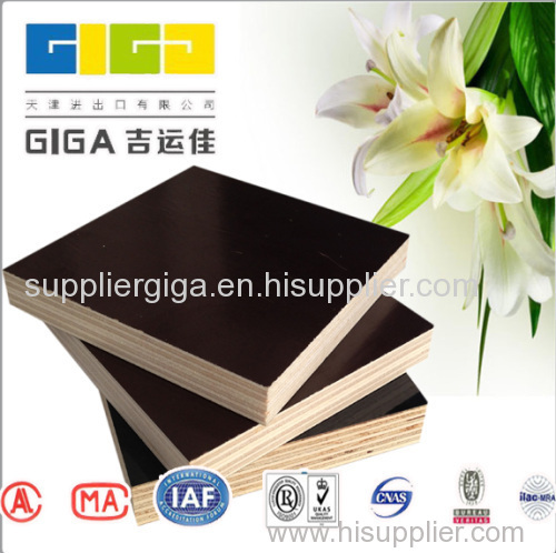 hot sale giga cheap types 18mm waterproof plywood price