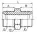 Stainless steel Forging and manchining hydraulic fittings BSPT male