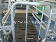 Pig Farming Equipment-Farrowing crate for pig