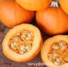 Pumpkin Seed P.E. Cucurbita pepo L. plant extract