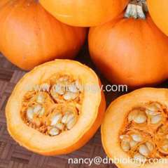 Pumpkin Seed P.E. Cucurbita pepo L. plant extract