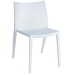 white PP dining chair