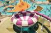 Super Bowl Fiberglass big Space Bowl water Slide for Kids Aqua Fun theme water equipment