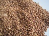 Superior Quality Roasted buckwheat kernels 2013 crop