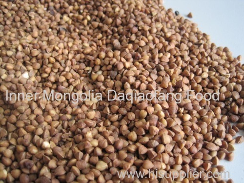 Superior Quality Roasted buckwheat kernels 2013 crop