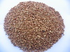 Superior quality Roasted buckwheat kernels with competitive price