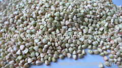 Superior quality Raw buckwheat kernels with competitive price