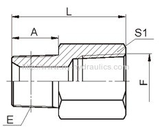 5TN-SP BSPT male/NPT female fitting