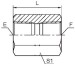 NPT female tube fittings