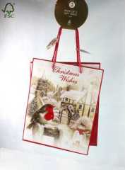 CHRISTMAS PAPER SHOPPING BAGS