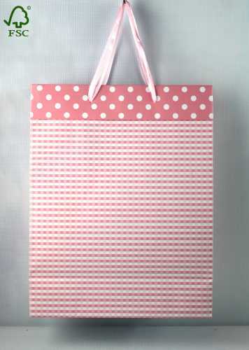 Promotional Colored paper gift bag