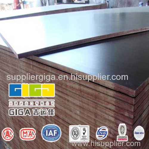 GIGA 18mm waterproof marine veneer film faced plywood